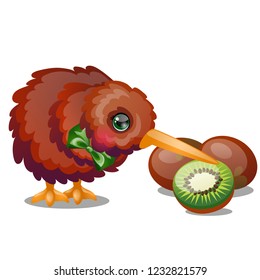 Kiwi bird and ripe fruit isolated on white background. Vector cartoon close-up illustration.