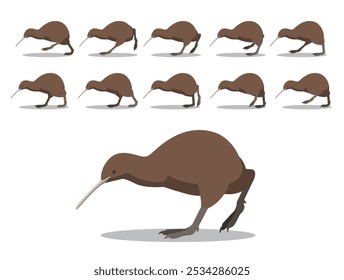 Kiwi Bird Running Animated Animation Sequence Cartoon Vector