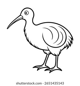 A kiwi bird standing with long beak detailed feathers on animal wildlife