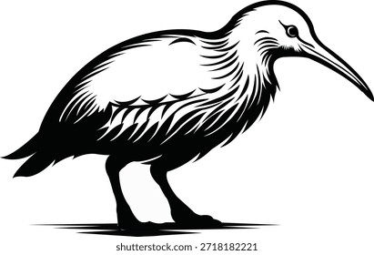  Diseño de Arte vectorial Kiwi Bird