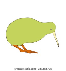 Kiwi bird vector illustration isolated on white background