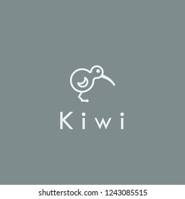 Kiwi bird vector illustration. Kiwi bird on gray background