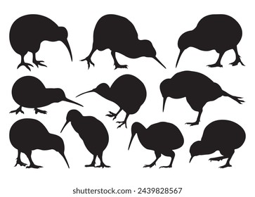 Kiwi Bird vector For Print, Kiwi Bird Clipart, Kiwi Bird vector Illustration
