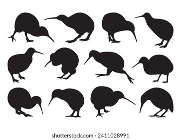 Kiwi Bird vector para impresión, Cornhole clipart, Cornhole vector ilustración