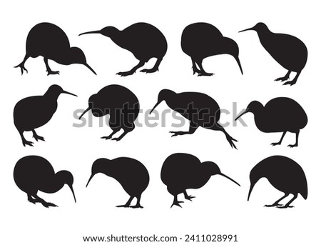 Kiwi Bird vector for print, Cornhole clipart, Cornhole vector illustration