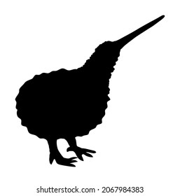 Kiwi bird vector silhouette illustration isolated on white background. Apteryx mantelli. North Island Brown Kiwi peck. Kiwi symbol of New Zealand.
