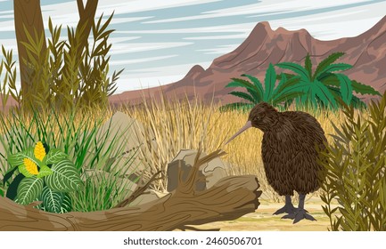 Pájaro kiwi camina en espesores de plantas tropicales en un valle al pie de las montañas. Fauna de la Nueva Zelanda. Paisaje de Vector realista