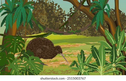 Pájaro kiwi camina por la selva. Fauna de la Nueva Zelanda. Paisaje de Vector realista