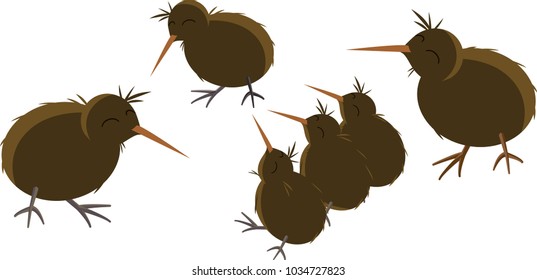 kiwi birds playing