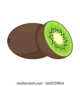 kiwi, cut fruit. Isolated vector illustration