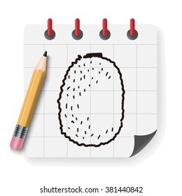 kiwi doodle