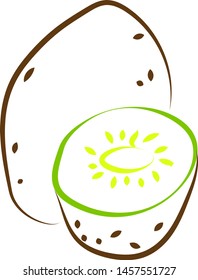 Kiwi drawing, illustration, vector on white background.