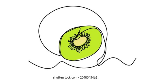 Kiwi draws a single line continuously. vegetarian concept