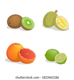 Kiwi, durian, grapefruit, and lime vector cartoon illustration isolated on white background. Fresh juicy fruits for healthy dieting. Exotic tropical fruits full of vitamins.