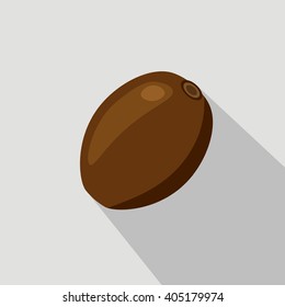 Kiwi flat icon. cartoon style. on the grey background. in the sun light. best dessert. organic food. vector illustration.