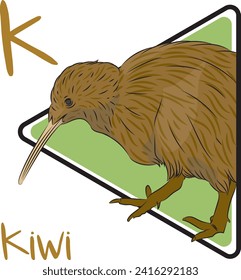 Kiwi are flightless, and nearly wingless birds endemic to New Zealand. Kiwis are the smallest ratites. The kiwi lives in forested areas of New Zealand that tend to be very steep and wet.