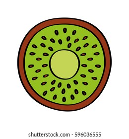 kiwi fresh fruit drawing icon