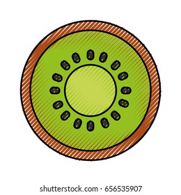 kiwi fresh fruit isolated icon