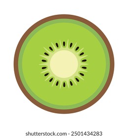 kiwi. fresh kiwi fruit slice vector illustration.