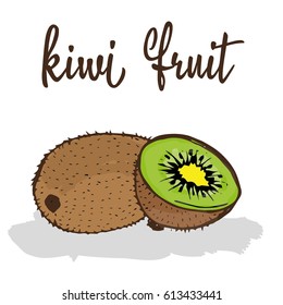 kiwi fruit 