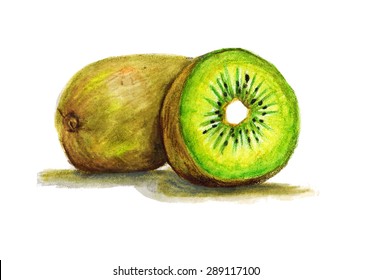 Kiwi fruit is a bright vector illustration painted with watercolor pencils