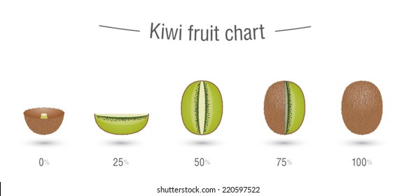 Kiwi fruit charts infographics. Sliced kiwi parts vector illustration.