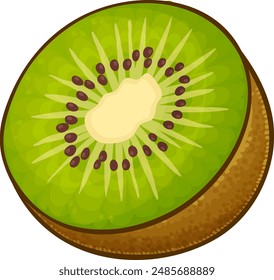 Kiwi Fruit Colored Detailed Illustration