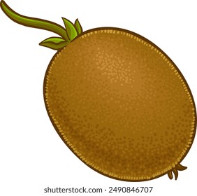 Kiwi Fruit Colored Detailed Illustration