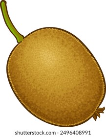 Kiwi Fruit Colored Detailed Illustration