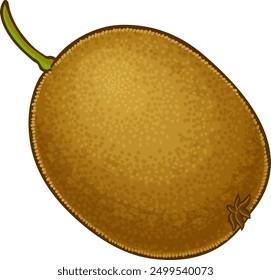 Kiwi Fruit Colored Detailed Illustration