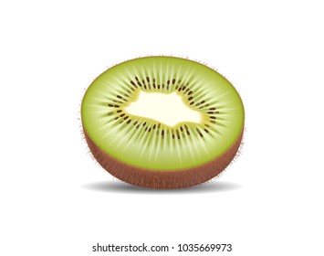 Kiwi fruit cut in half slices. High quality natural eco organic ecological fruit for juice, yogurt, pudding, shake, cream, sour milk packaging. Realistic detailed vector. Isolated on white background