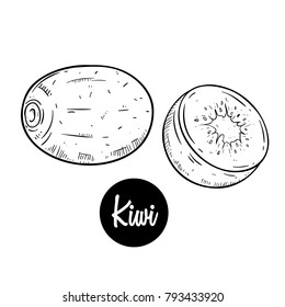 kiwi fruit with doodle or hand drawn style on white background