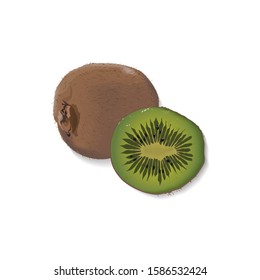 Kiwi fruit drawing on a white background. Stock vector illustration.