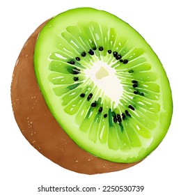 kiwi fruit drawn digital painting watercolor illustration