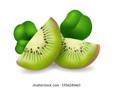 Kiwi fruit - exotic fruits collection, realistic design vector illustration