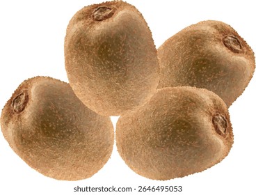 kiwi fruit fresh and sweet21