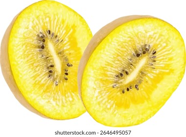 kiwi fruit fresh and sweet23