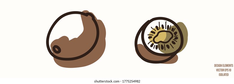 Kiwi fruit gender neutral baby illustration clipart. Simple whimsical minimal earthy 2 tone color. Kids nursery room decor print or cartoon animal line art sticker.