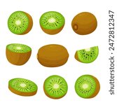  kiwi fruit and half kiwi fruit isolated on white background. Vector eps 10