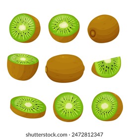  kiwi fruit and half kiwi fruit isolated on white background. Vector eps 10