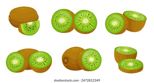  kiwi fruit and half kiwi fruit isolated on white background. Vector eps 10