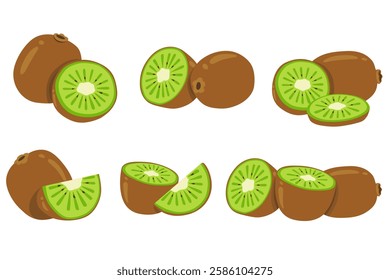 kiwi fruit and half kiwi fruit isolated on white background. Vector eps 10