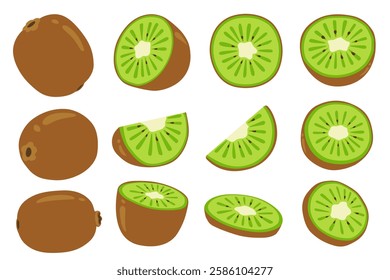 kiwi fruit and half kiwi fruit isolated on white background. Vector eps 10