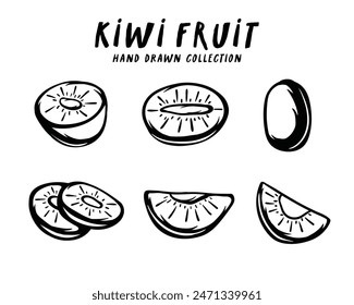 Kiwi fruit hand drawn concept on white background