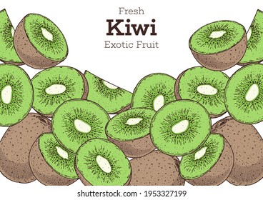 Kiwi fruit hand drawn frame. Colorful. Vector illustration. Design, package, brochure illustration. Hand drawn kiwi fruits design template. Organic fresh food vector illustration.