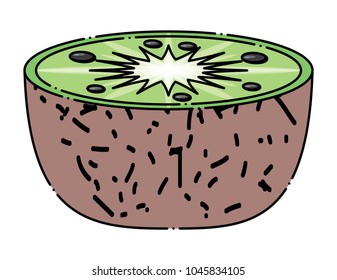 kiwi fruit icon