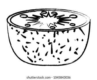 kiwi fruit icon