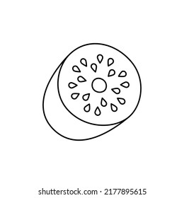 kiwi fruit icon in line style icon, isolated on white background