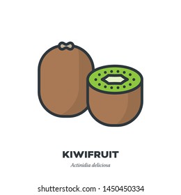 Kiwi fruit icon, outline with color fill style vector illustration, half and whole fruit with leaf