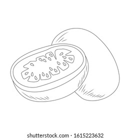 kiwi fruit icon over white background, vector illustration